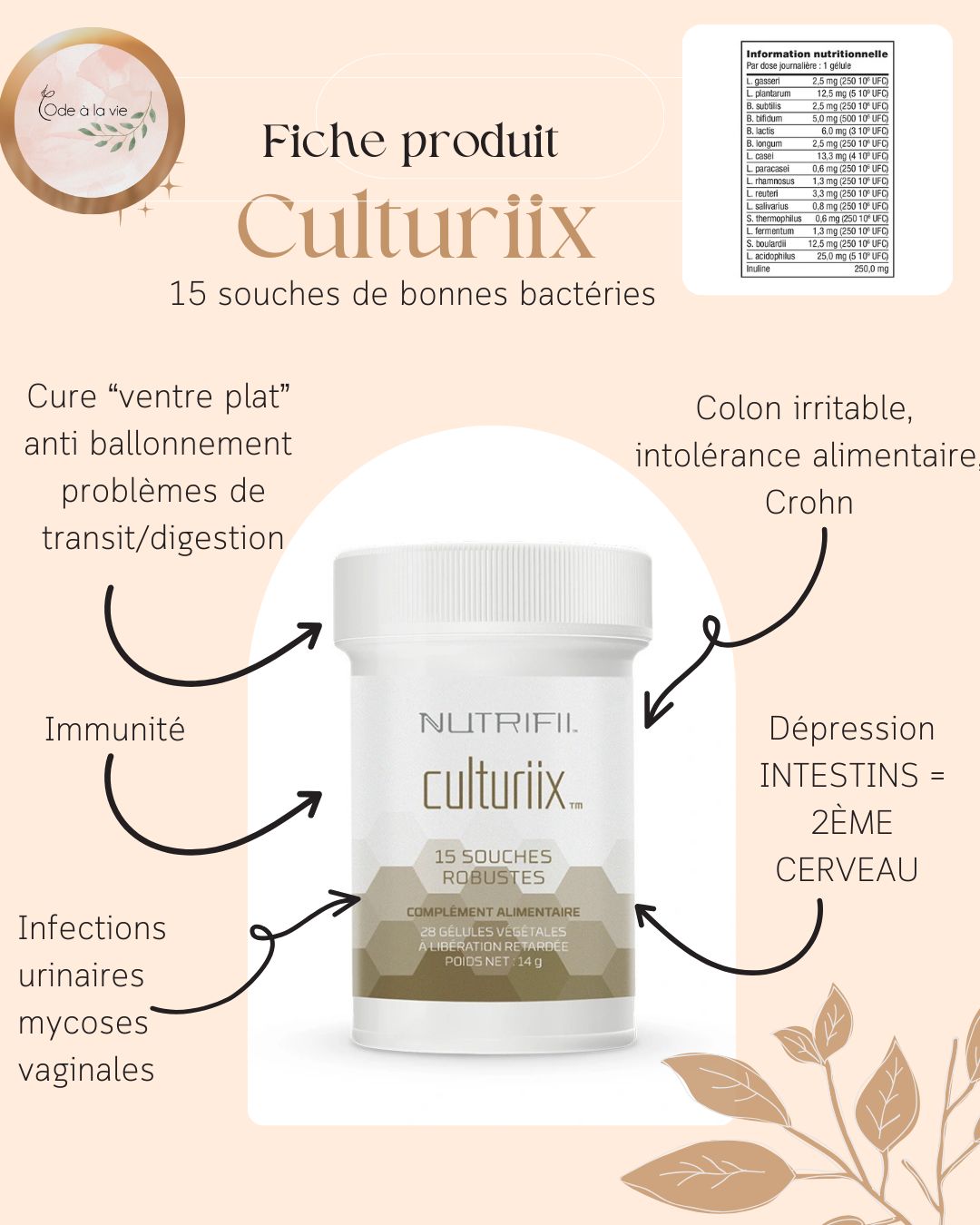 Culturiix