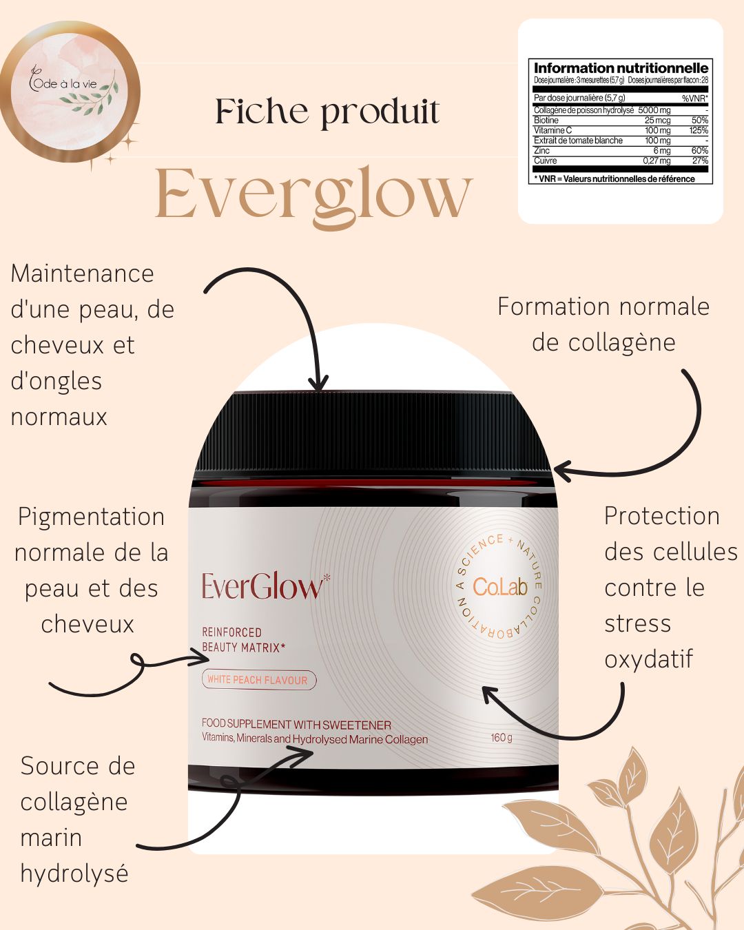 Everglow