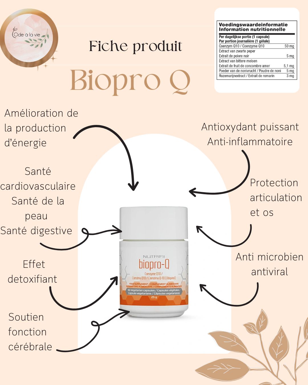 biopro-Q