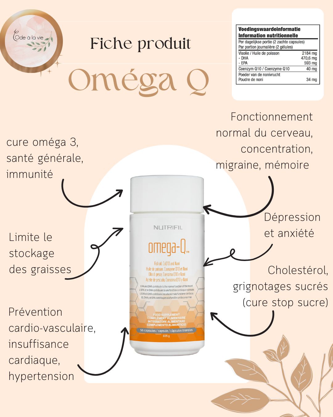 omega Q